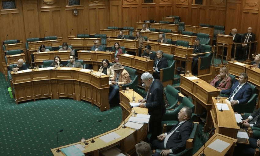 A screenshot from Parliament TV showing Winston Peters speaking in the House, with the Green Party in the background.