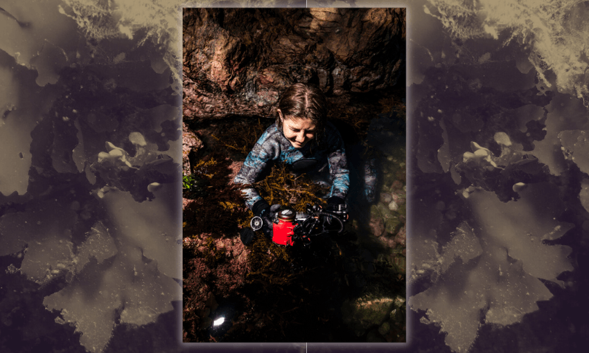 a sepia tinged photo of seaweed and a diver with a red container