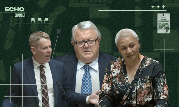 Chris Hipkins, Gerry Brownlee and Marama Davidson. 
