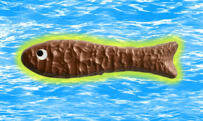 ‘It’s a currency’: How did chocolate fish become our go-to reward?