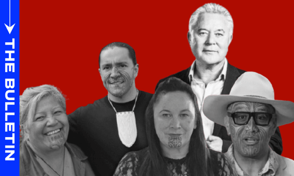 Te Pāti Māori president John Tamihere has accused MP Mariameno Kapa-Kingi, pictured here with her son Eru, of plotting a coup against co-leaders Debbie Ngarewa-Packer and Rawiri Waititi. (Image: Getty Images / The Spinoff) 
