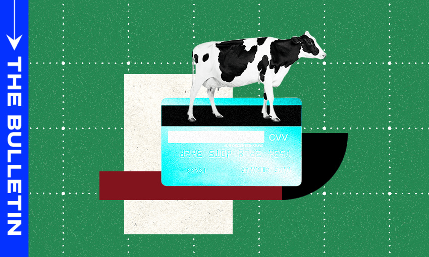 The reforms are ‘a once-in-a-generation chance” to create a more efficient local government system, says Chris Bishop.  
