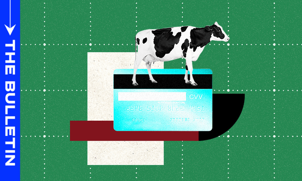 The reforms are ‘a once-in-a-generation chance” to create a more efficient local government system, says Chris Bishop.  
