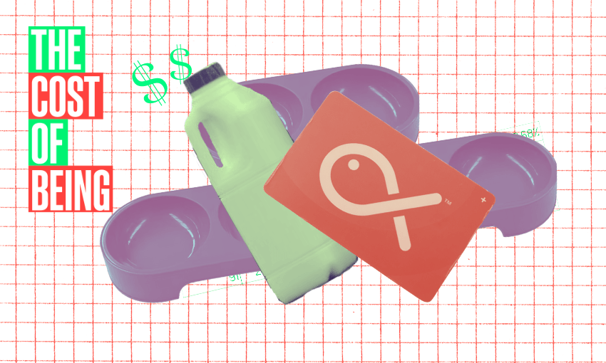 The cost of being: A full-time teacher and solo parent of three teenagers