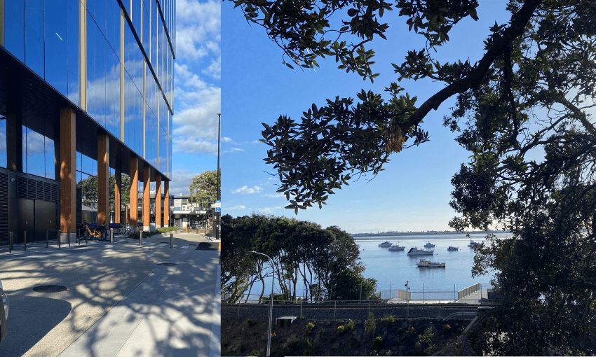 A photo of a building with large windows (left) and a photo of a harbour (right).