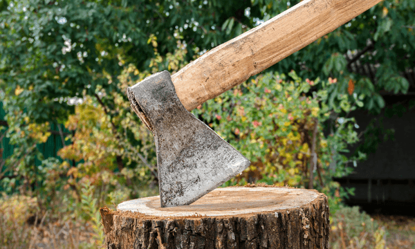 The Friday Poem: ‘As Fuck’ by Anny Trolove