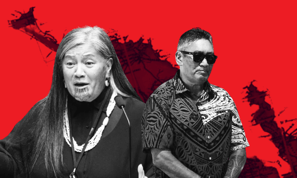 Mariameno Kapa-KIngi and Hone Harawira. (Images: Supplied). Additional design: The Spinoff).  
