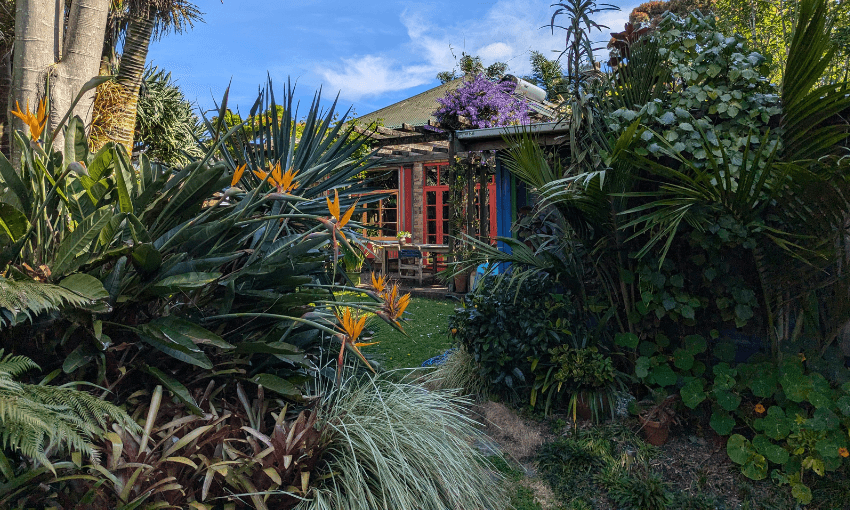 Heavy shrubs and plants obscure the Hanly house, made from brick