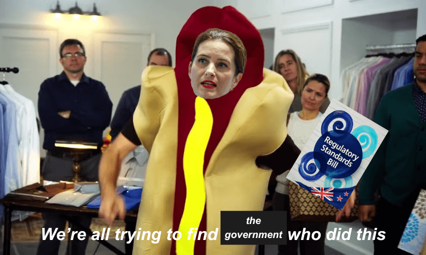 National and New Zealand First both seem to dislike the regulatory standards bill they just helped pass into law. 
