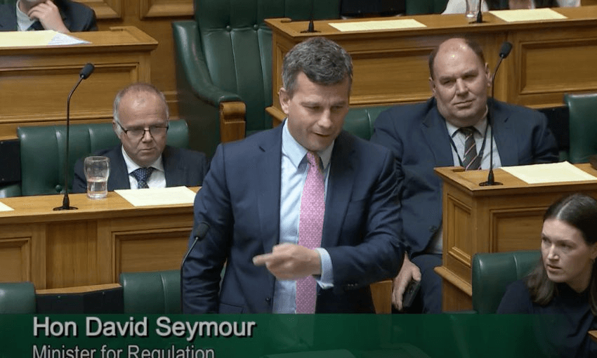 David Seymour standing and speaking in the House, while pointing left towards the Green Party benches.