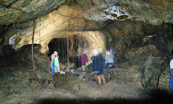 Inside the main chamber of Stewart’s Cave, Mt Eden. Photo: Joel MacManus 
