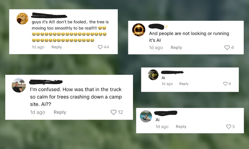 Mt Maunganui AI messages