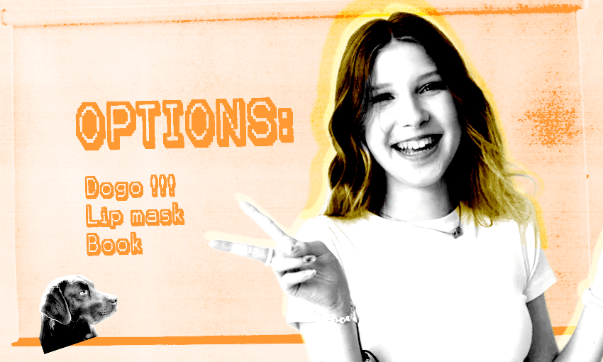 The pitch deck generation | The Spinoff