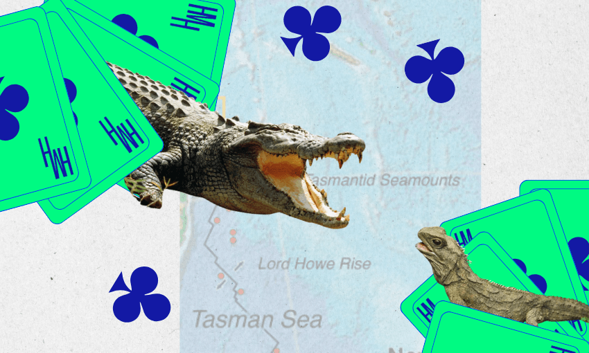 Help Me Hera: Should I move home to New Zealand?