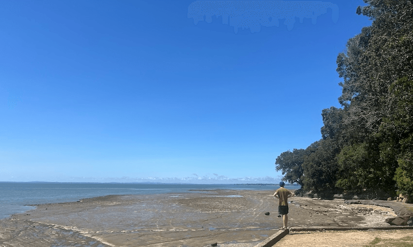 A person stands at the edge of a rocky shoreline, looking out at the ocean under a clear blue sky, with trees lining the right side of the image.