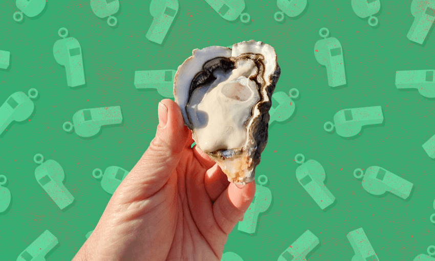 How oysters became Aotearoa’s environmental whistleblowers