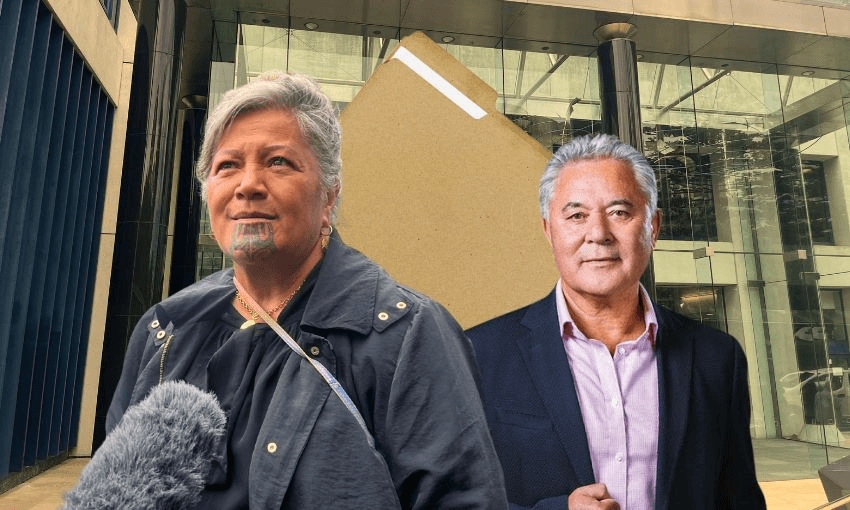 Reaching a decision in Kapa-Kingi v Tamihere remains a ‘real priority’, Justice Radich said.