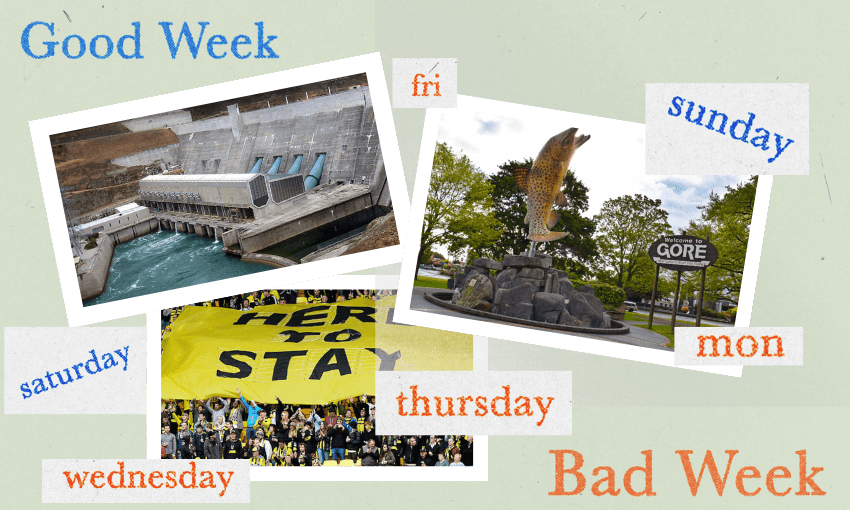 A big week for Wellington, Gore and power companies.