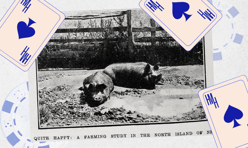 Help Me Hera: Someone in my niche creative community hates me for no reason