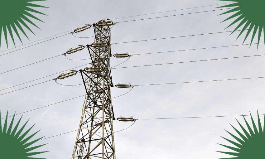 (Image: The Spinoff)