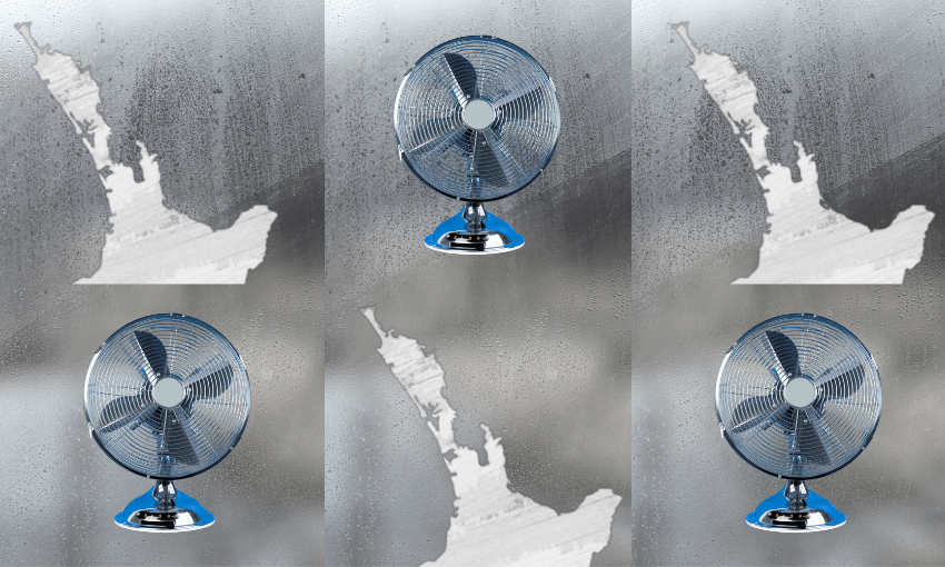 Four electric fans are placed in front of foggy glass, which features the outline of a map of the northern North Island, New Zealand, repeated in the background. Condensation droplets cover the glass.