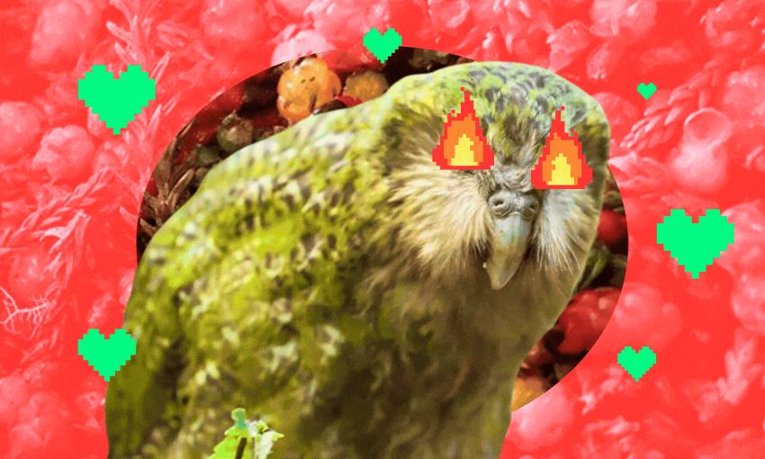 A green parrot with pixelated, flaming eyes is set against a red, strawberry-patterned background with pixelated green hearts scattered around. The style is playful and surreal.