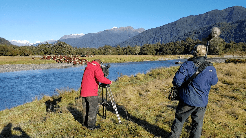 A man films a large group cattle next to a river, with mountains in the background. Another man in a blue jacket stands next to him