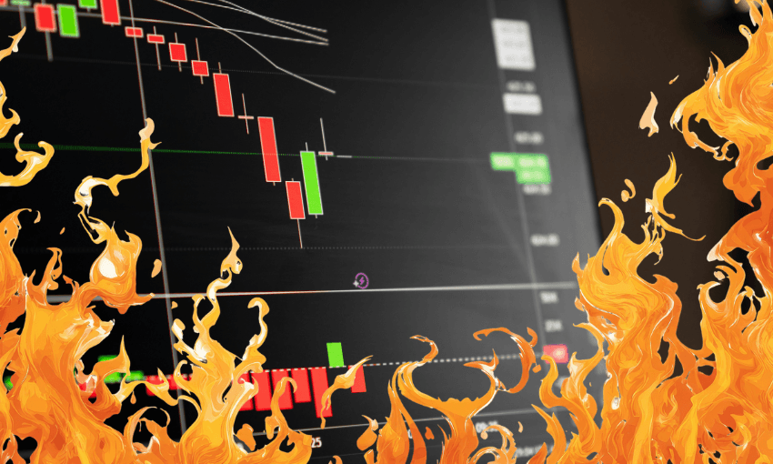 An accurate representation of the New Zealand economy.  
