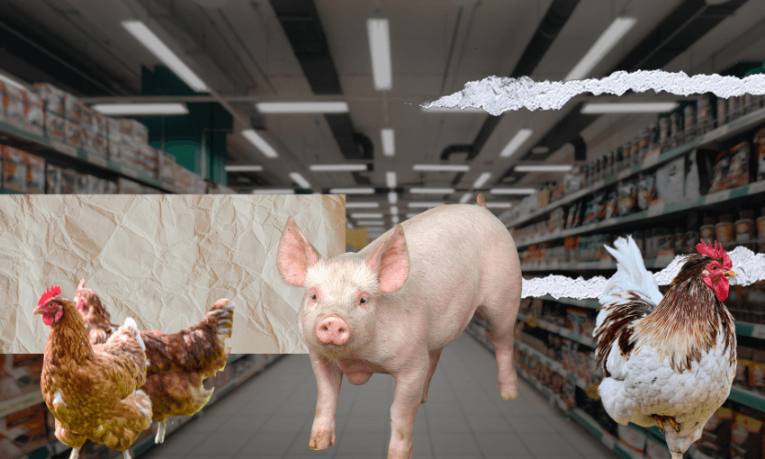 Behind ordinary products lies differential treatment of animals. (Image: The Spinoff) 
