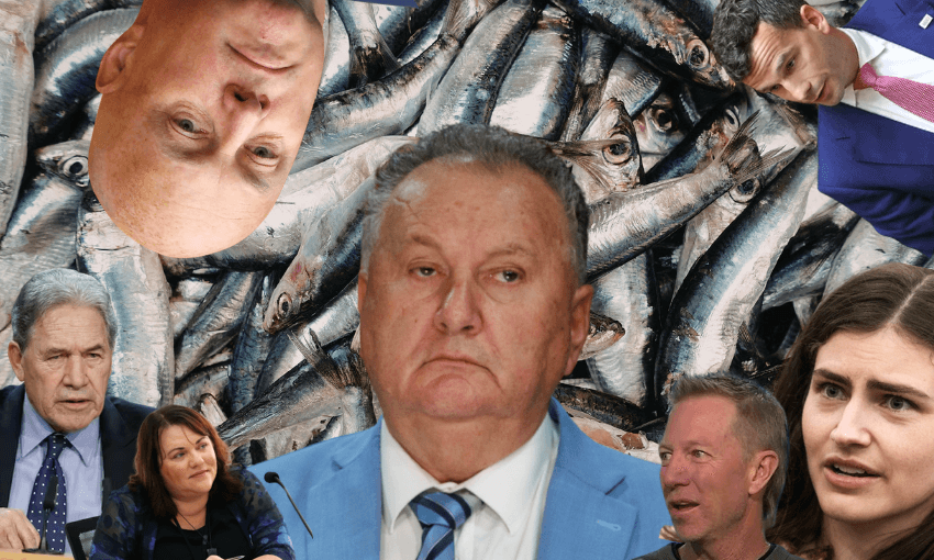 A collage of several people’s faces surrounding a pile of fish, with some faces shown upright and others upside down. The expressions range from serious to neutral, set against the background of silvery fish.