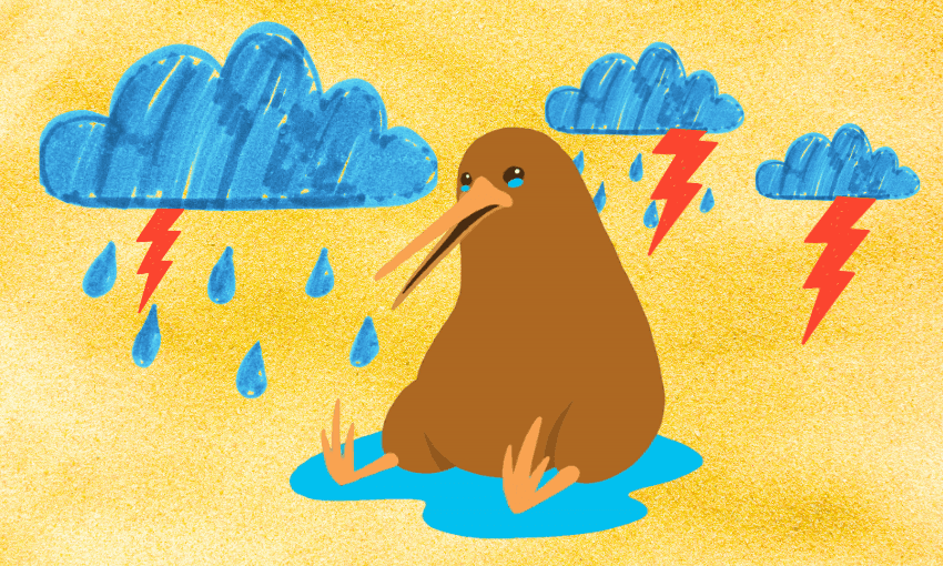 A visual depiction of this year’s summer. 
