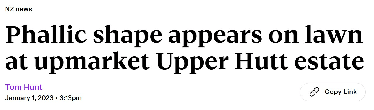Headline on a news website reads, “Phallic shape appears on lawn at upmarket Upper Hutt estate,” with byline Tom Hunt, dated January 1, 2023, at 3:13pm.