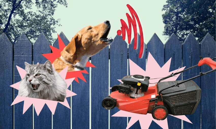 With neighbourhoods getting noisier, how do we keep the peace? (Image: The Spinoff) 
