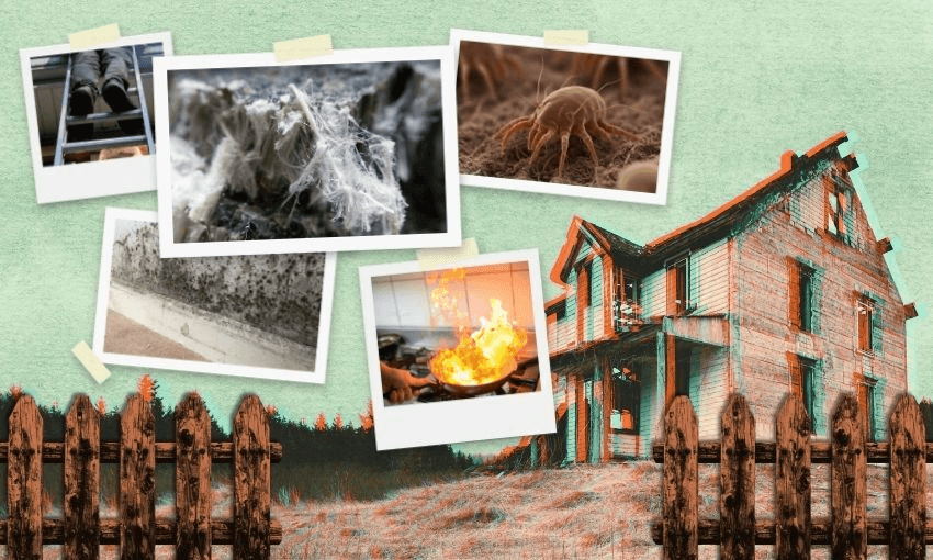 dust mites, mold and kitchen fires