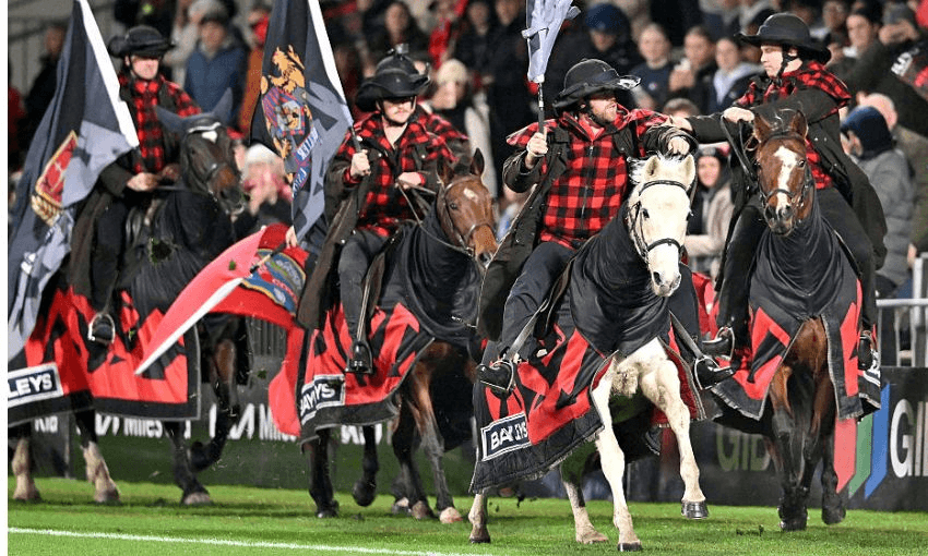 The Crusaders horses at the Apollo Stadium in 2025 (Photo: Getty Images) 
