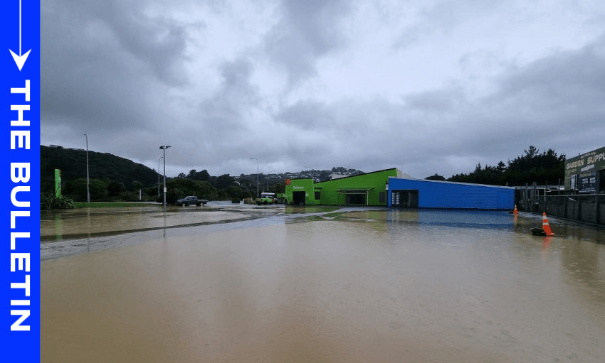 Flooding near a Wellington Palmers Garden Centre on Saturday. (Photo: Krystal Gibbens/RNZ) 
