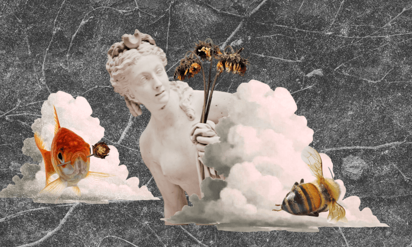 A collage image of a classical sculpture peering out of clouds, with a floating goldfish and bees.