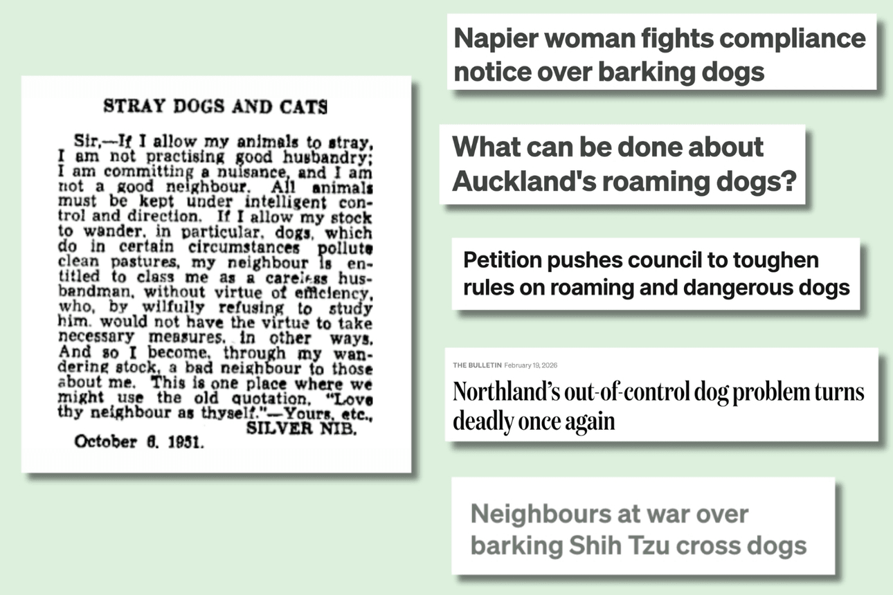 headlines about dog complaints
