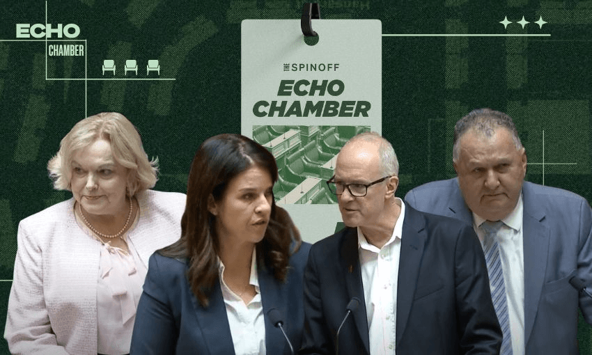 Judith Collins, Erica Stanford, Phil Twyford and Shane Jones. 
