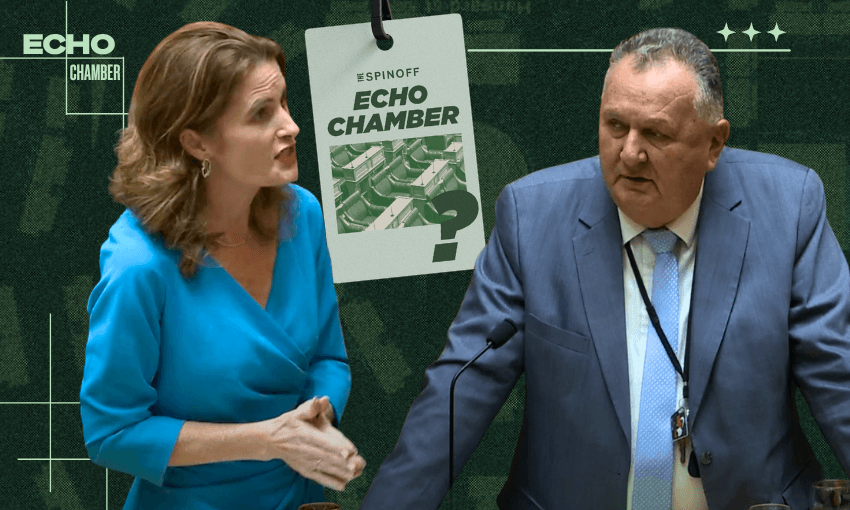 Frenemies Nicola Willis and Shane Jones. 
