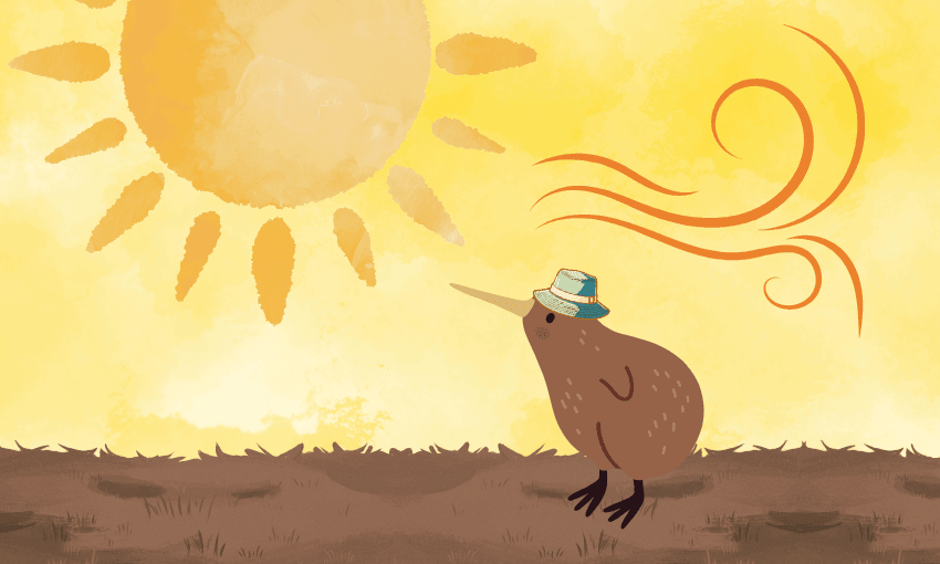 A kiwi bird wearing a blue-striped hat stands on grass under a bright, stylized sun with swirling rays, set against a yellow sky.
