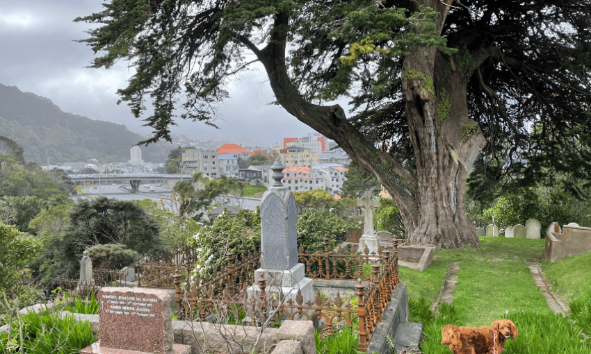 Bolton Street Cemetery