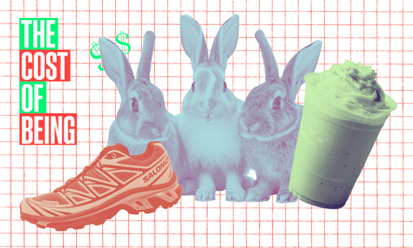 The cost of being: A ‘second-generation shopaholic’ with three fur babies