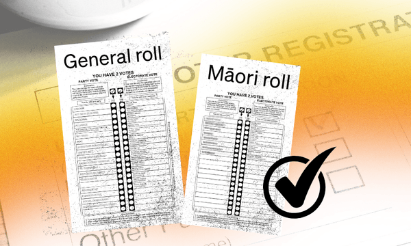 The case for Māori switching to the general roll this election