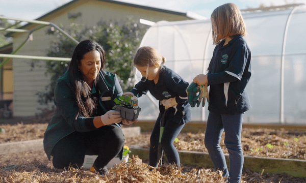 A little better every day: ‘The garden was quite a healing process’