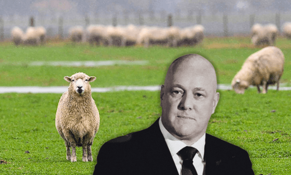 Farming stopped being New Zealand’s economic backbone decades ago