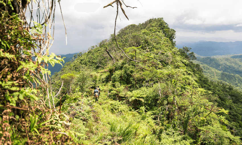 Beyond the beach: Fiji’s best hiking adventures