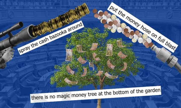 Nicola Willis’s magic money tree and other go-to spending metaphors in NZ politics