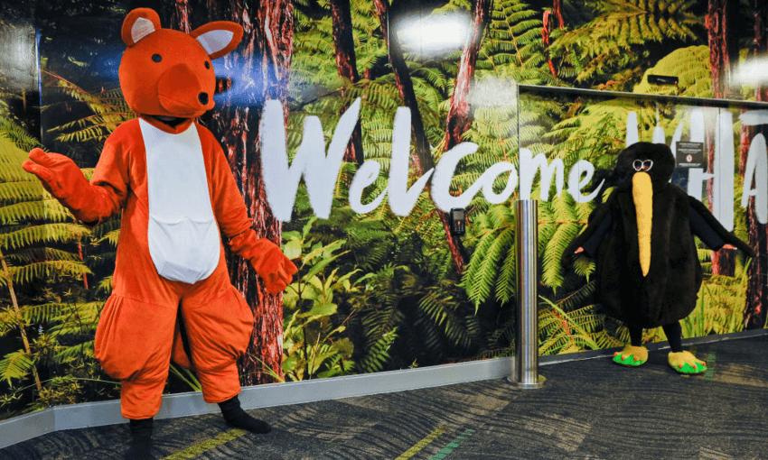 A kangaroo and a kiwi pose at Wellington airport to mark the reopening of the border post-Covid. The Spinoff has been unable to authenticate whether it is a real kangaroo or kiwi. Photo by Hagen Hopkins/Getty Images 
