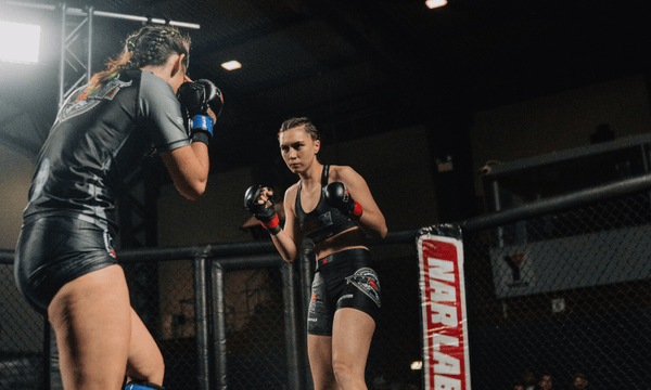 Everyone has a plan, until they get punched in the face